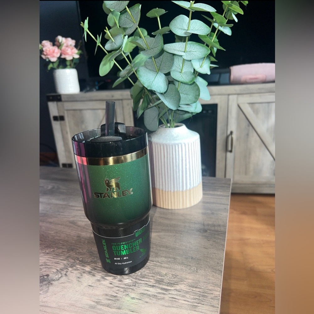 LIMITED EDITION WICKED GREEN Stanley Quencher FlowState 20oz Tumbler, ELPHABA